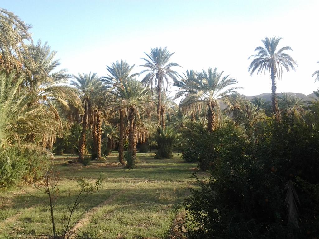 Kasbah Itrane Bed & Breakfast Tamnougalt ภายนอก รูปภาพ