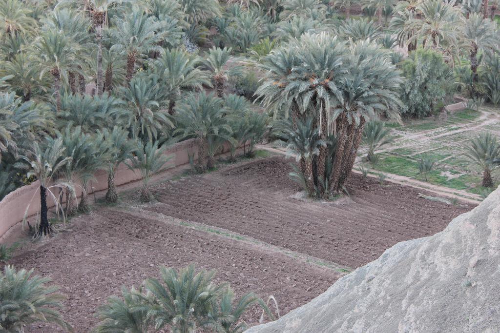 Kasbah Itrane Bed & Breakfast Tamnougalt ภายนอก รูปภาพ