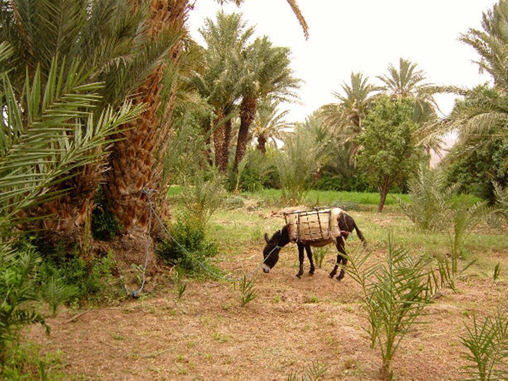 Kasbah Itrane Bed & Breakfast Tamnougalt ภายนอก รูปภาพ